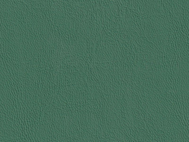 Scepter palm 140 cm  30 lfm pro Rolle